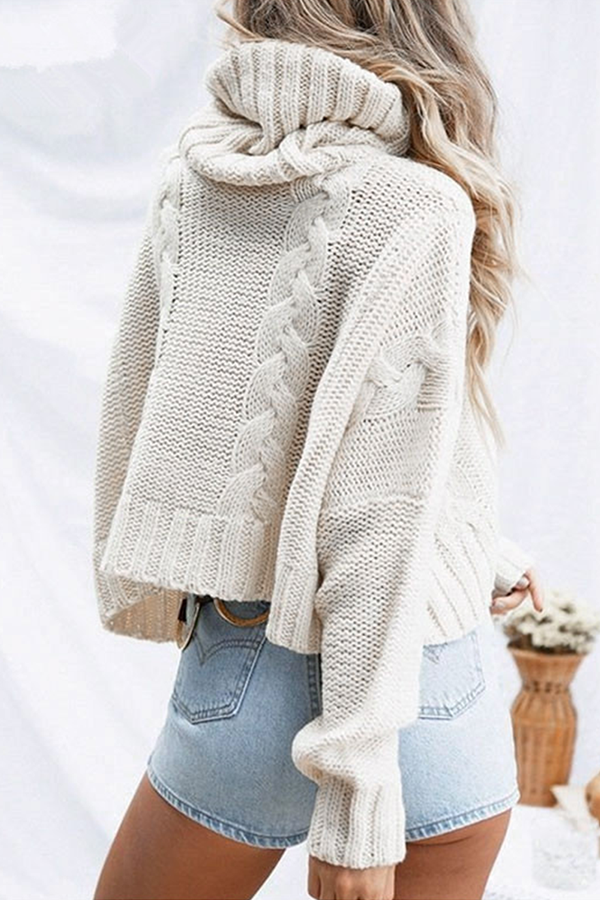 Heidi-Mode | Fashion Casual Solid Split Joint Rollkragen Tops Sweater