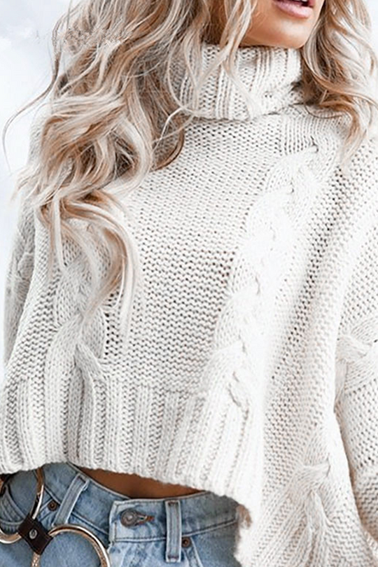 Heidi-Mode | Fashion Casual Solid Split Joint Rollkragen Tops Sweater