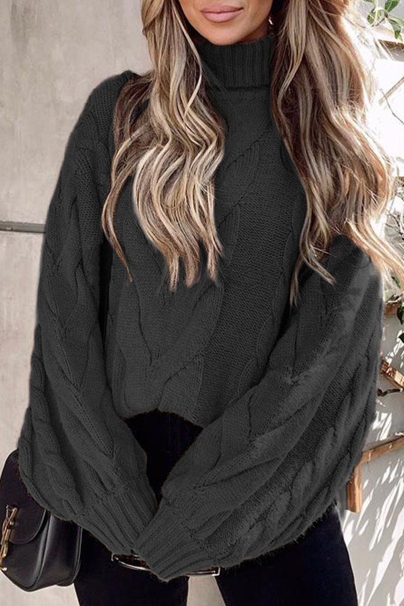 Heidi-Mode | Lässiger Street Solide Farbe Rollkragenpullover - 5 Farben