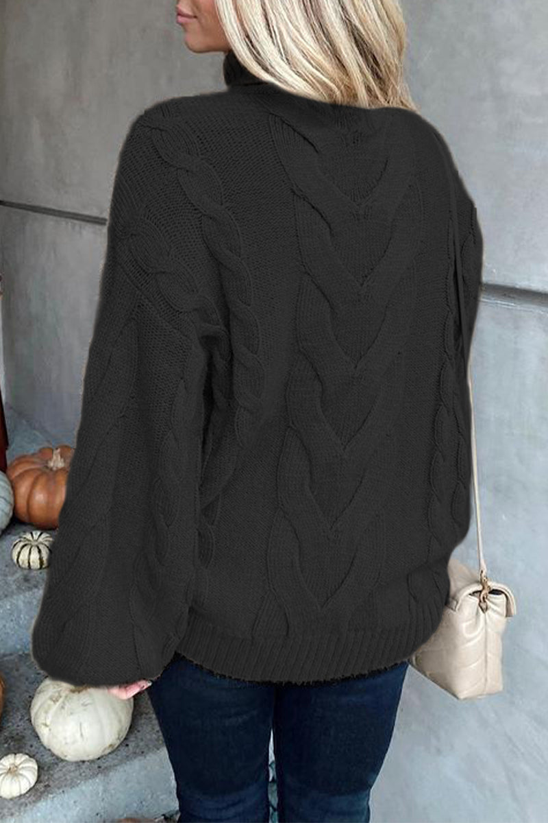 Heidi-Mode | Lässiger Street Solide Farbe Rollkragenpullover - 5 Farben