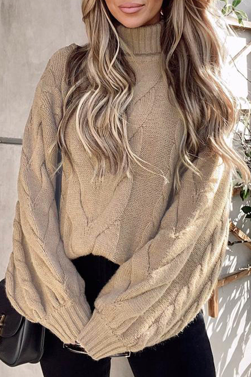 Heidi-Mode | Lässiger Street Solide Farbe Rollkragenpullover - 5 Farben