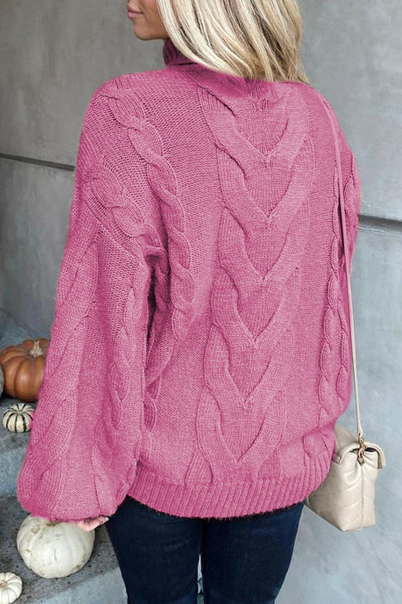 Heidi-Mode | Lässiger Street Solide Farbe Rollkragenpullover - 5 Farben
