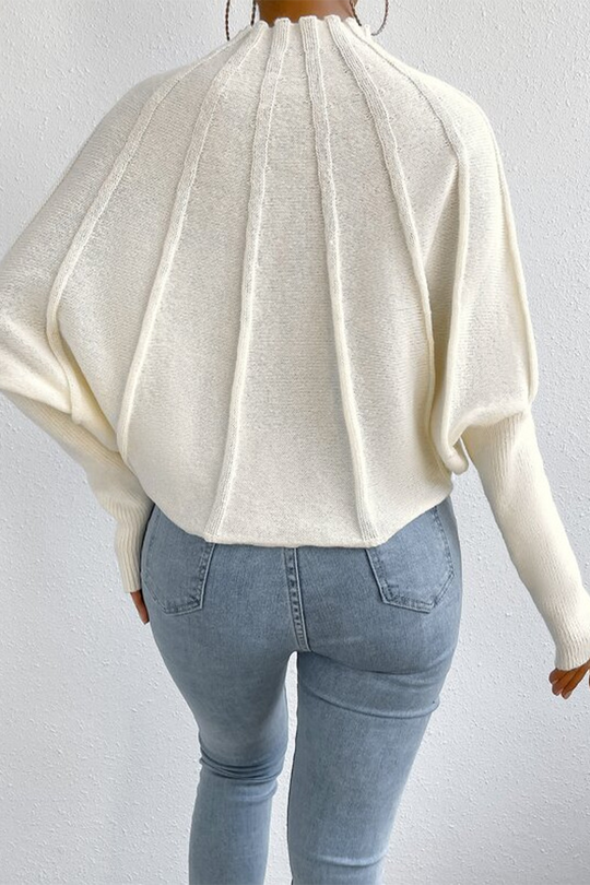 Heidi-Mode | Lässiger Täglicher Patchwork-Webhalbe Turtleneck Pullover - 3 Farben