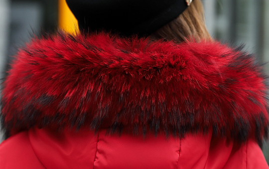Heidi-Mode | Daunenjacke Mit Pelzkragen Für Damen Ultimativer Schutz Vor Kälte
