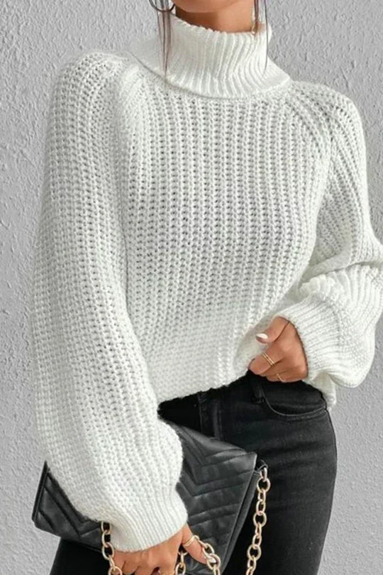 HeidiMode - schöner pullover - rollkragenpullover