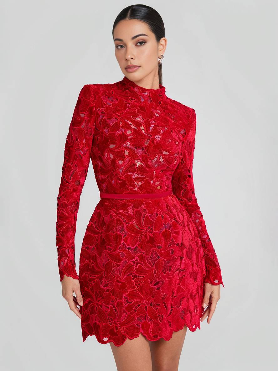 Heidi-Mode | Kurzes A-Linien-Kleid aus Spitze mit Englischer Stickerei, Rundhalsausschnitt, Lange Ärmel, Elegantes Damen Abend Cocktailkleid