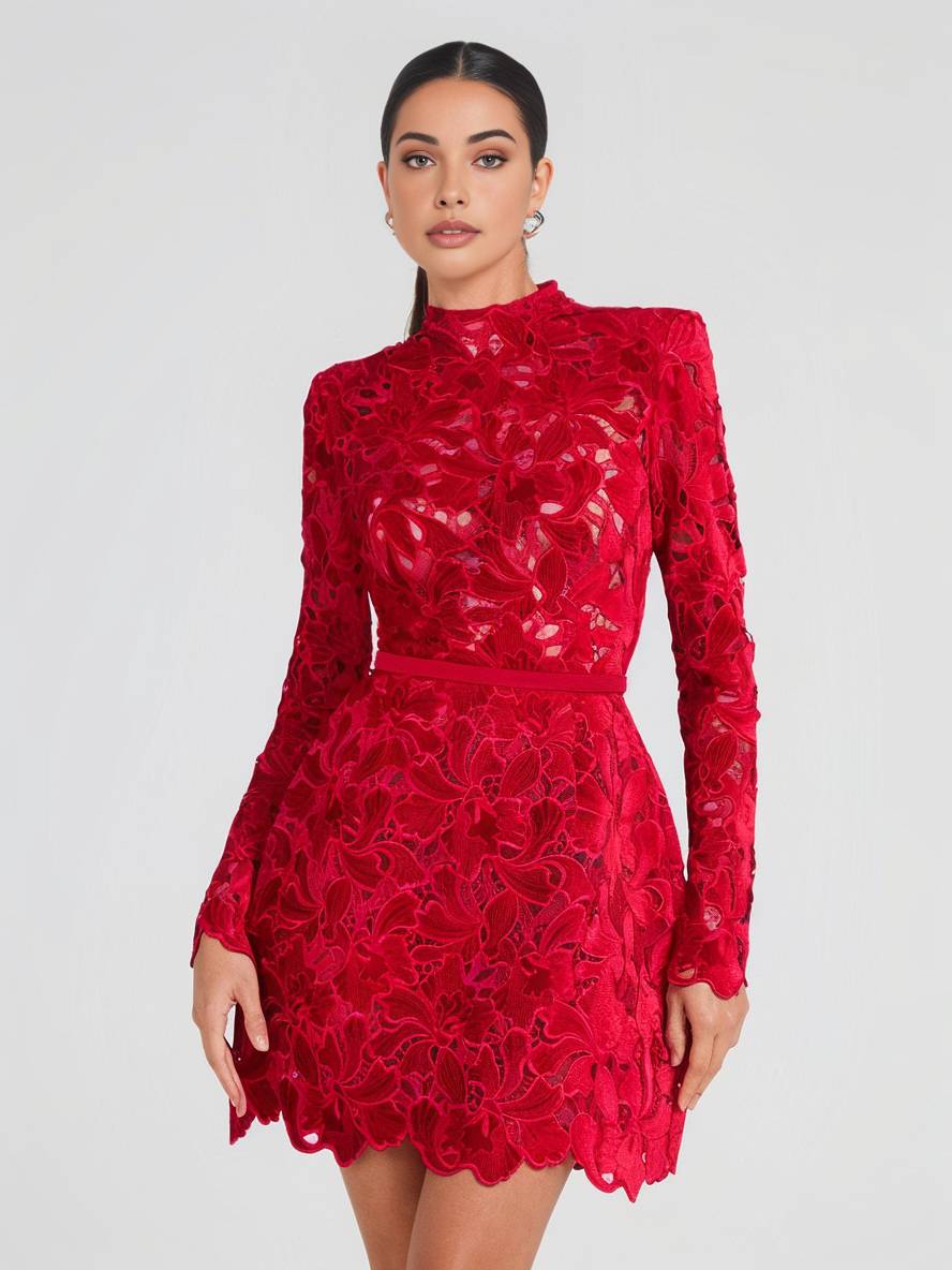 Heidi-Mode | Kurzes A-Linien-Kleid aus Spitze mit Englischer Stickerei, Rundhalsausschnitt, Lange Ärmel, Elegantes Damen Abend Cocktailkleid