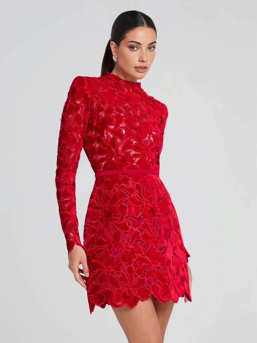 Heidi-Mode | Kurzes A-Linien-Kleid aus Spitze mit Englischer Stickerei, Rundhalsausschnitt, Lange Ärmel, Elegantes Damen Abend Cocktailkleid
