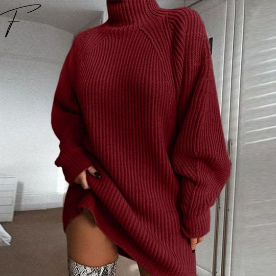 Sweaterkleid Mit Polo Kragen