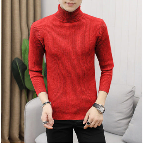 Herren Rollkragenpullover mit feiner Rippenstruktur und hohem Tragekomfort Heidi-Mode