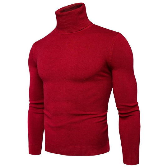 Herren Rollkragenpullover aus weichem Merinowolle Heidi-Mode