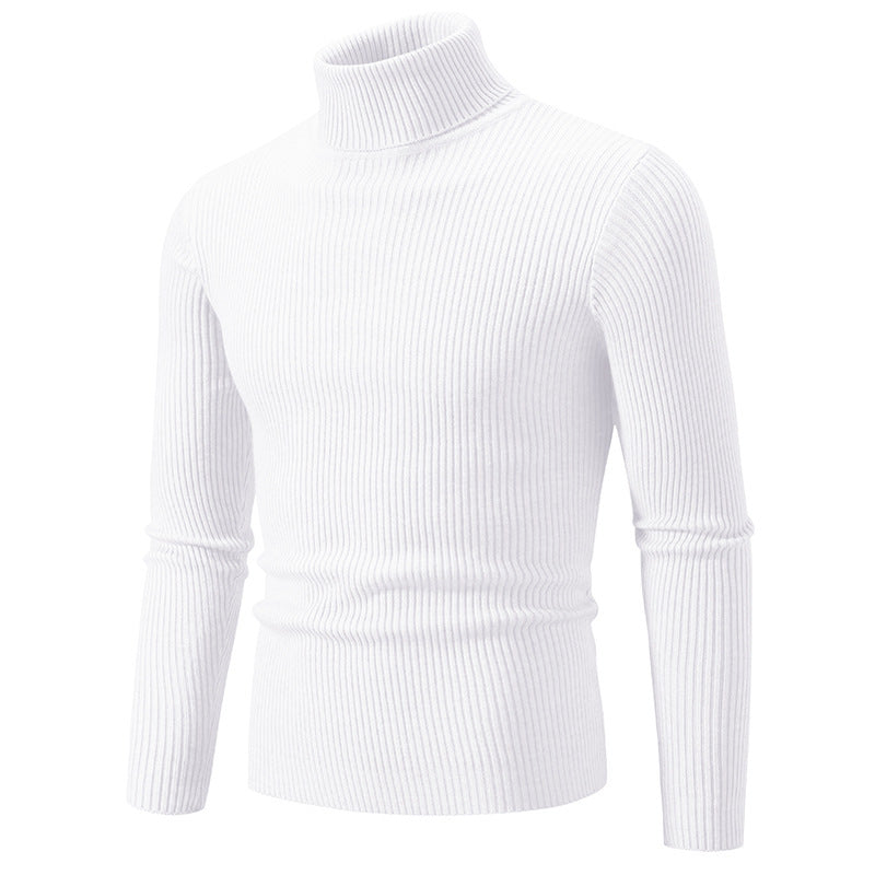 Herren feiner Rollkragenpullover aus langlebigem Strickmaterial Heidi-Mode