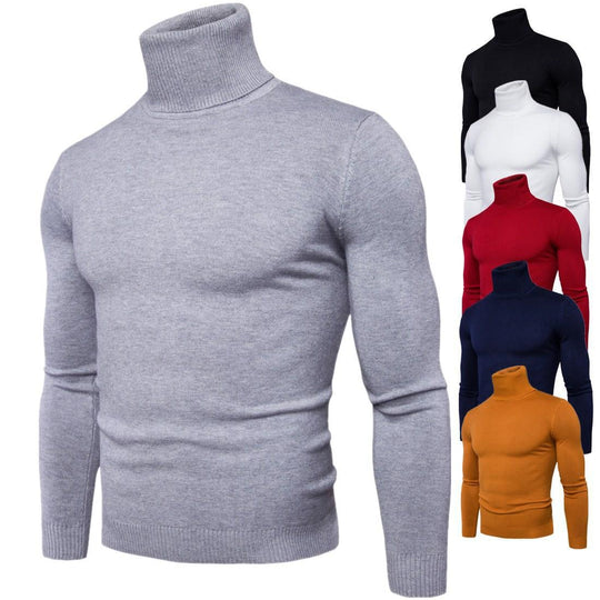Herren Rollkragenpullover aus weichem Merinowolle Heidi-Mode