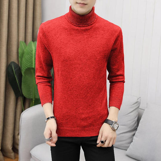 Herren Rollkragenpullover aus weichem Merinowolle Heidi-Mode