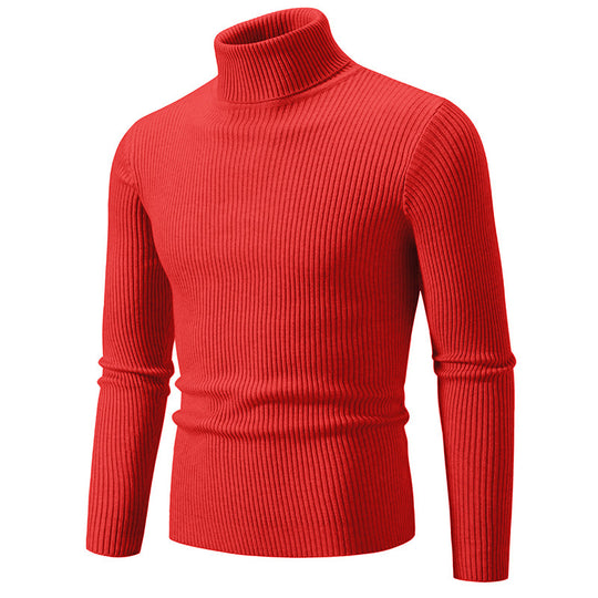 Herren feiner Rollkragenpullover aus langlebigem Strickmaterial Heidi-Mode