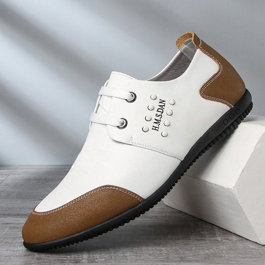 Herren Sleek Casual Leder Sneakers mit verbessertem Komfort Heidi-Mode