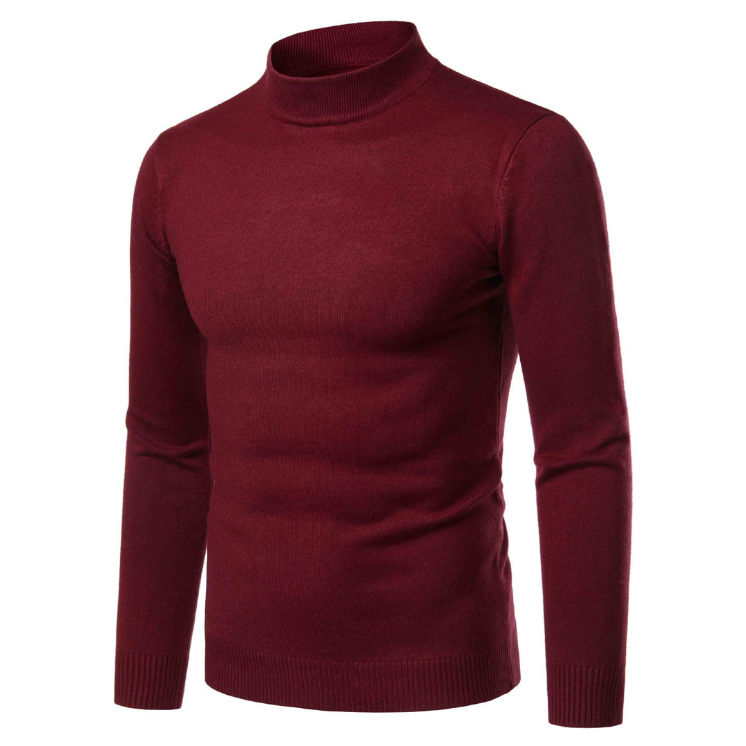 Herren warme Rollkragenpullover aus feinem Strickmaterial Heidi-Mode