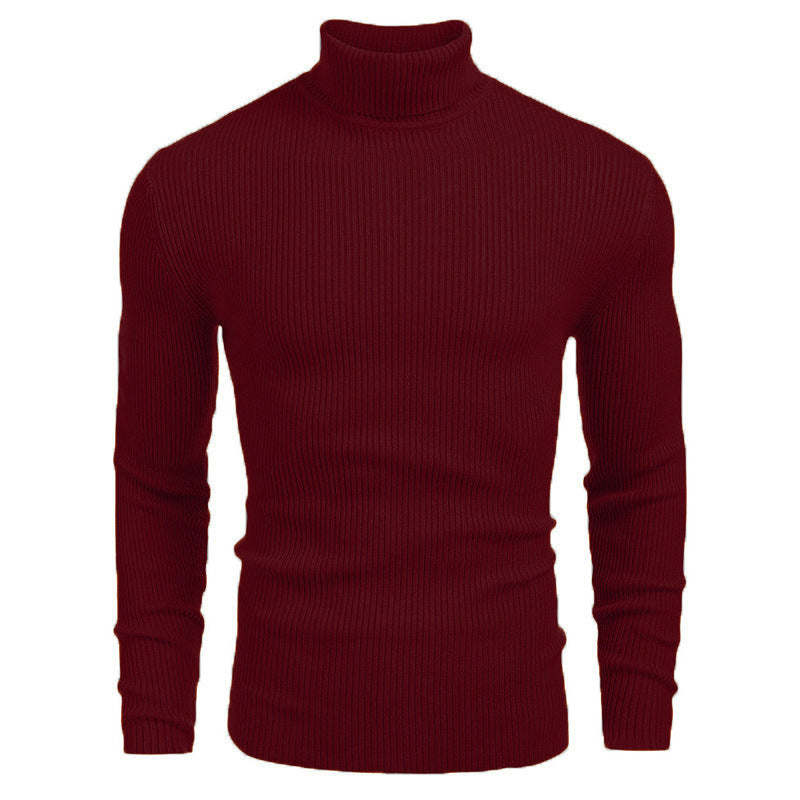 Herren Rollkragenpullover aus feinem Rippstrickmaterial Heidi-Mode