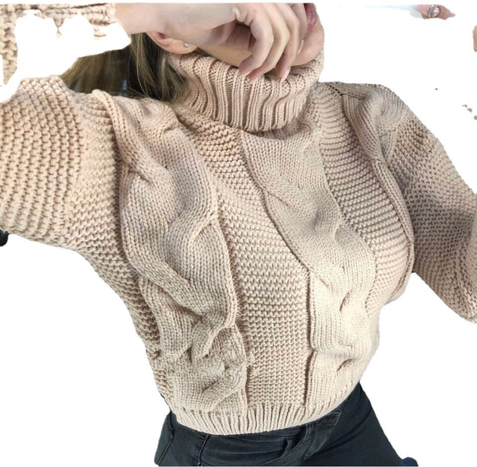 Damen Strickpullover mit Rollkragen und Zopfdesign Heidi-Mode