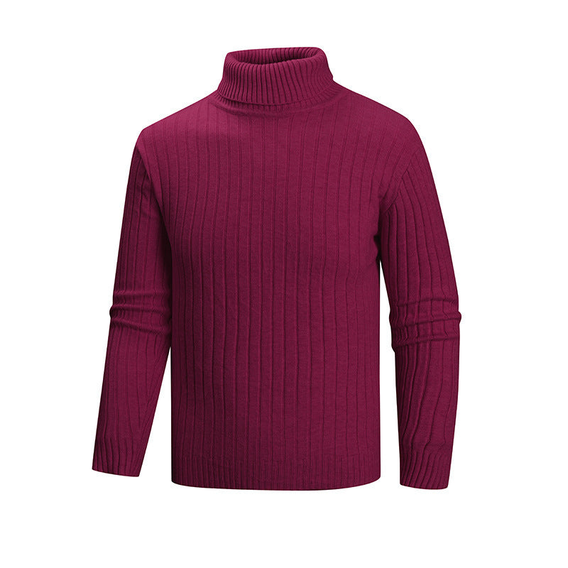 Herren Strickpullover mit Stehkragen Heidi-Mode
