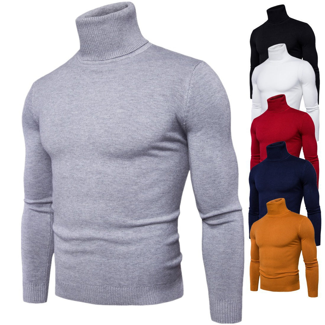 Herren Rollkragenpullover aus feiner Merinowolle Heidi-Mode