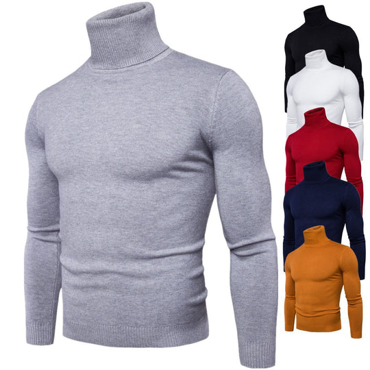 Herren Rollkragenpullover aus feiner Merinowolle Heidi-Mode