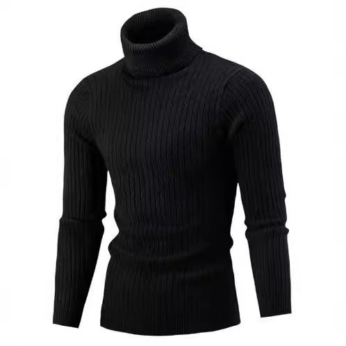 Herren Rollkragenpullover mit strukturiertem Kabelstrickdesign Heidi-Mode