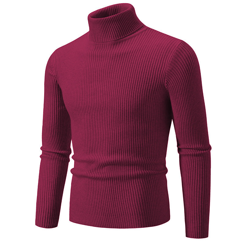 Herren feiner Rollkragenpullover aus langlebigem Strickmaterial Heidi-Mode