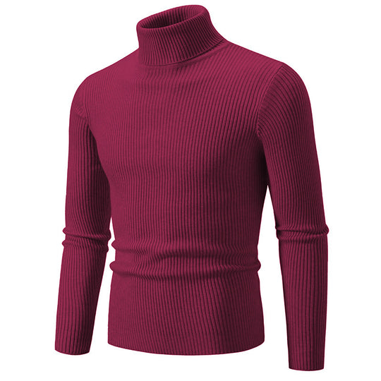 Herren feiner Rollkragenpullover aus langlebigem Strickmaterial Heidi-Mode