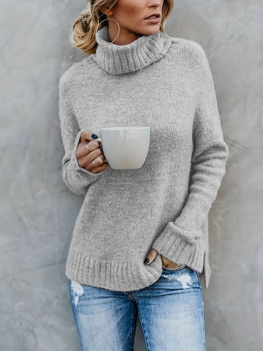 Pullover mit Rollkragenpullover