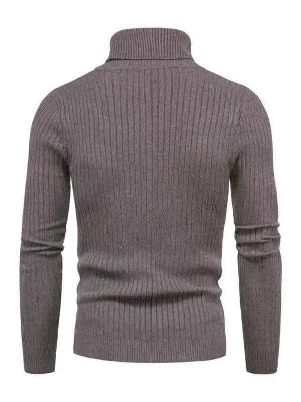 Heidi-Mode | Border Slim Fit Rollkragenpullover Herren