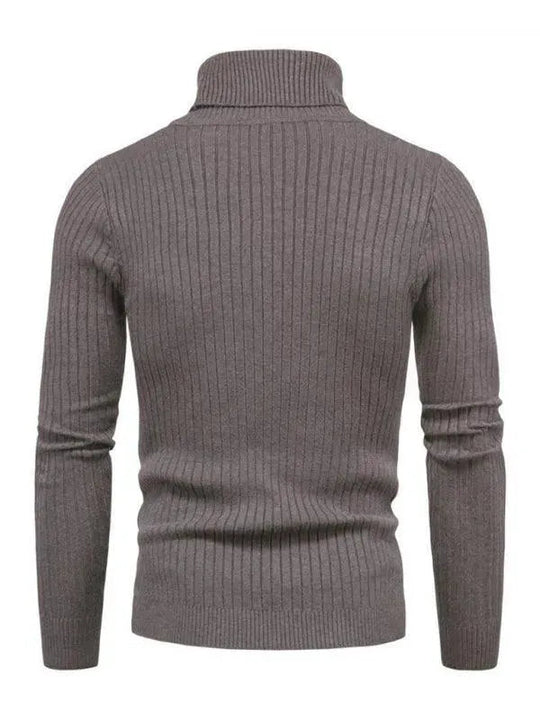 Heidi-Mode | Border Slim Fit Rollkragenpullover Herren