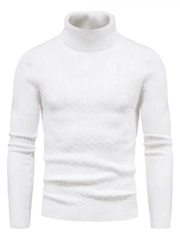 Heidi-Mode | Border Slim Fit Rollkragenpullover Herren