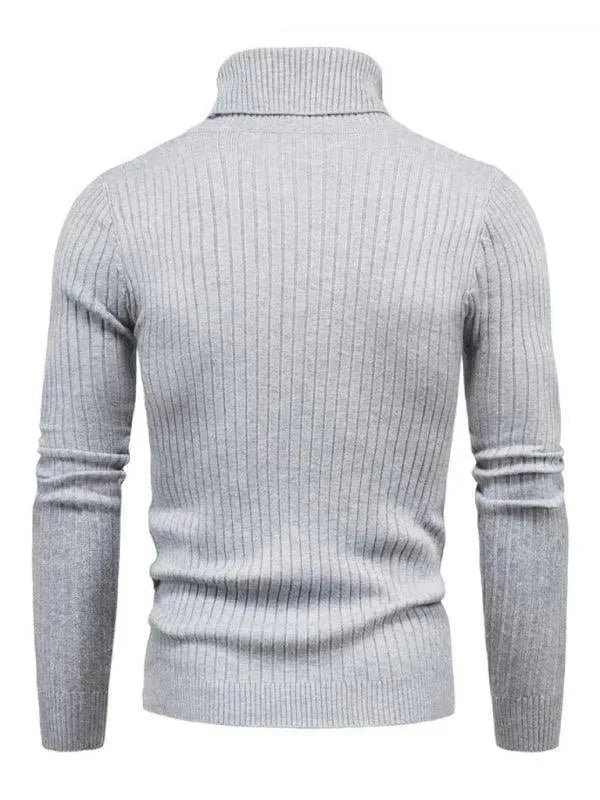 Heidi-Mode | Border Slim Fit Rollkragenpullover Herren