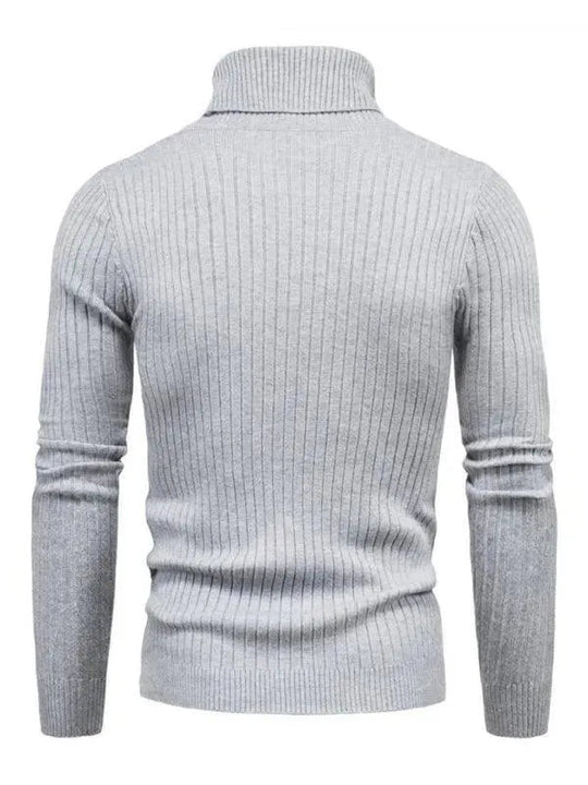 Heidi-Mode | Border Slim Fit Rollkragenpullover Herren
