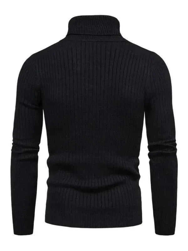 Heidi-Mode | Border Slim Fit Rollkragenpullover Herren