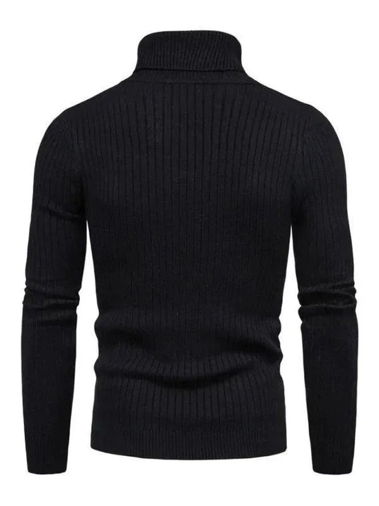 Heidi-Mode | Border Slim Fit Rollkragenpullover Herren