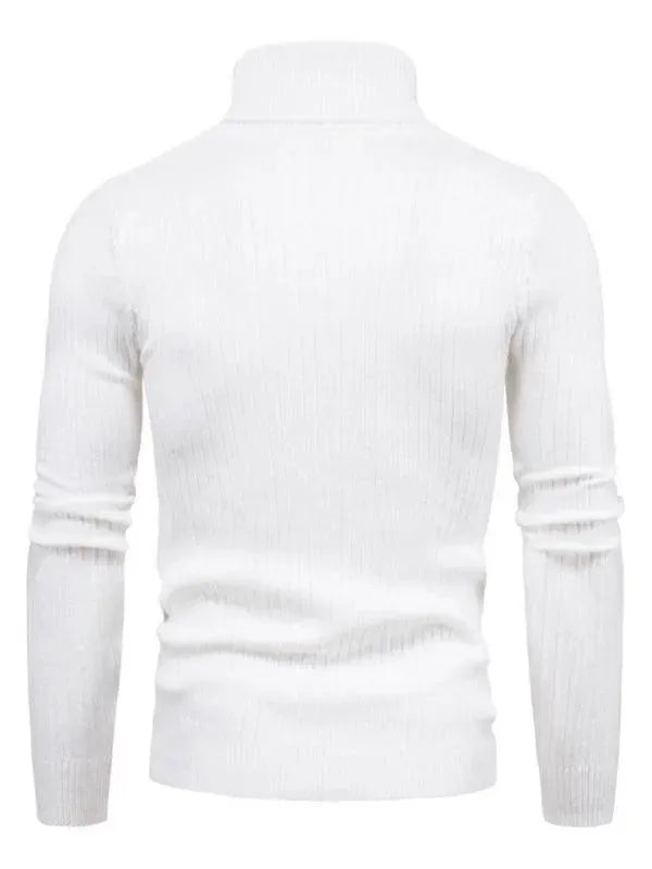 Heidi-Mode | Border Slim Fit Rollkragenpullover Herren