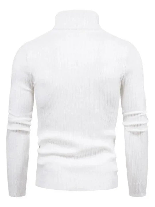 Heidi-Mode | Border Slim Fit Rollkragenpullover Herren