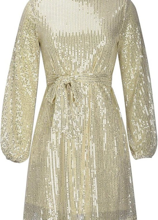 Heidi-Mode | Damen elegantes Paillettenkleid Mini